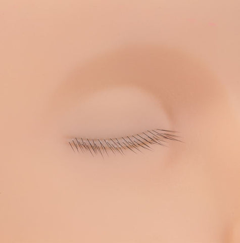 Three Layer Lash Mannequin Head